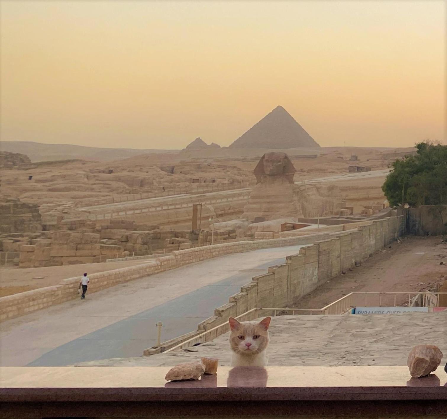 Seven Pyramids Panoramic View Inn Kafret el-Gabal 外观 照片